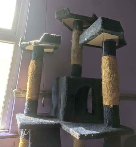 Photo of free Pawhut Cat Tree 173h x 49l x 49w (Tredworth GL1) #3