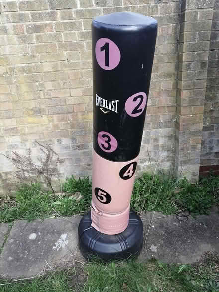 Photo of free Punch Bag (MK14 Great Linford) #1