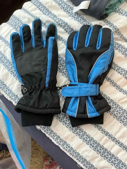 Photo of free Ski- type gloves (Twickenham Green) #1