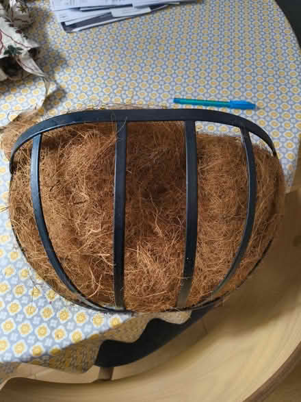 Photo of free Wall planter (Beeston, NG9) #1