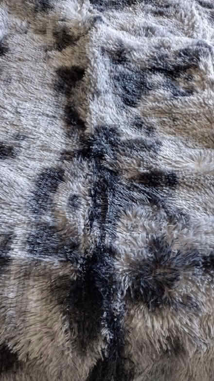 Photo of free Rug (Calow S44) #3