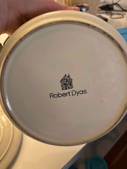 Photo of free Dish (Crystal Palace) #3
