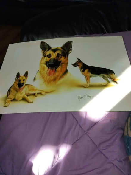 Photo of free Laminated print (Bloxwich.walsall) #1