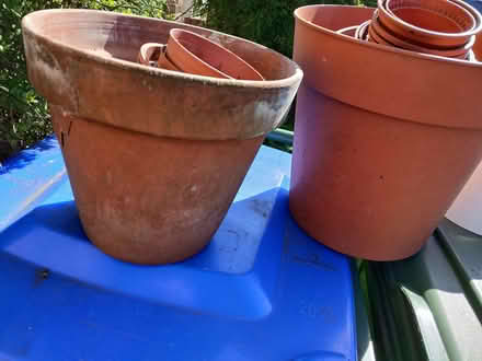Photo of free Garden pot selection (Erith DA8) #4