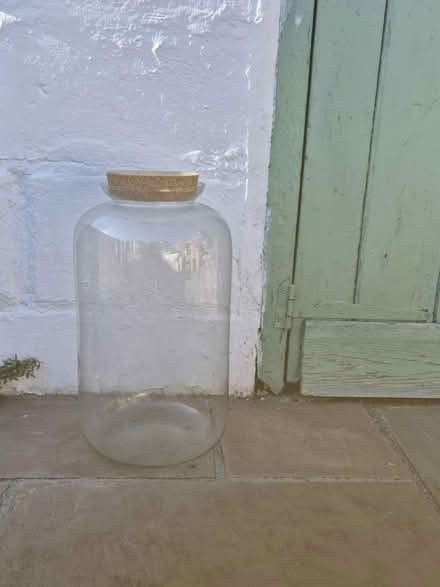 Photo of free Large terrarium jar (TW2) #1
