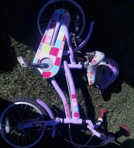 Photo of free Girls bike (Hawarden) #1