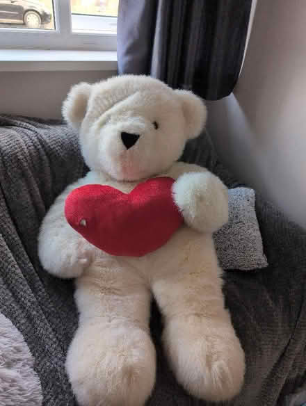 Photo of free Giant teddy with heart (Gregson Lane PR5) #1
