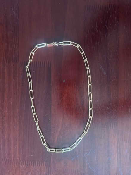 Photo of free Paper clip necklace (Hill East) #1
