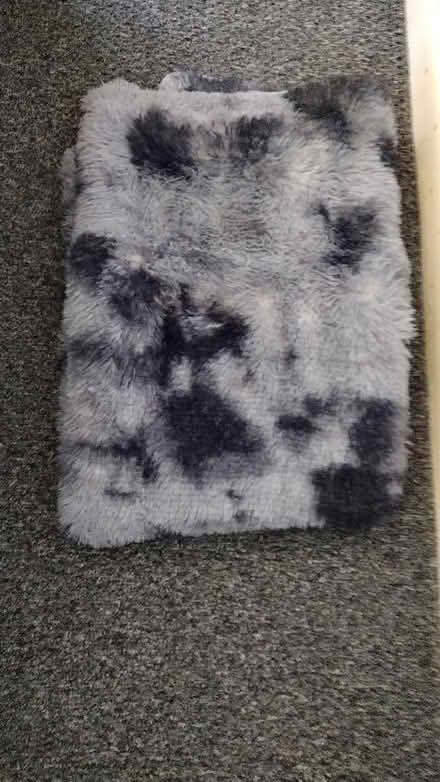 Photo of free Rug (Calow S44) #1
