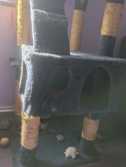 Photo of free Pawhut Cat Tree 173h x 49l x 49w (Tredworth GL1) #2