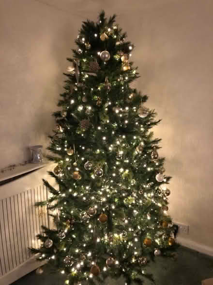 Photo of free Christmas tree (Warrington WA2) #1