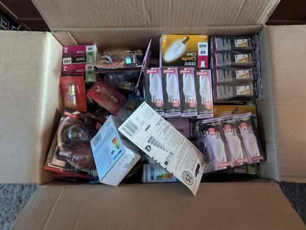 Photo of free Light Bulbs (Downes Head EX17) #1