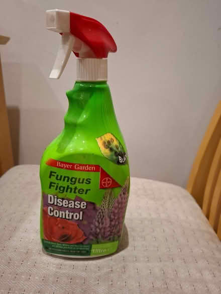 Photo of free Fungus fighter (Cogges OX28) #1