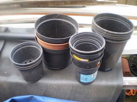 Photo of free Plastic Plant pots (Oxton CH43) #2