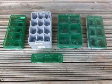 Photo of free Selection of seedling plug trays (Chineham RG24) #1