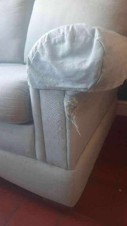Photo of free 2 seater sofa (Broseley TF12) #1