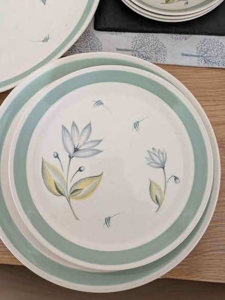 Photo of free Vintage dinner service (Bonnyrigg EH19) #2