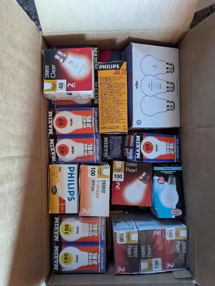 Photo of free Light Bulbs (Downes Head EX17) #2