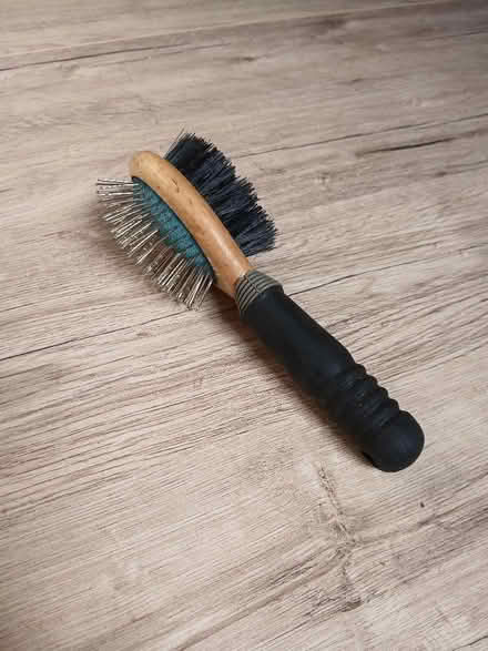Photo of free Dog grooming brush (Odd Down) #1