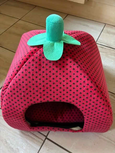 Photo of free Strawberry cat bed & Pet Set feeding boel (Witham CM8) #1