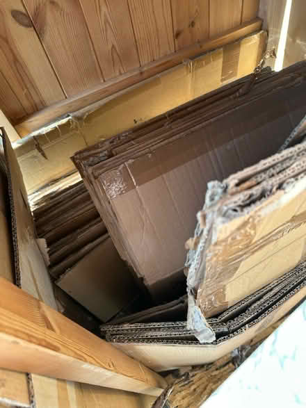 Photo of free Moving boxes (Datchet SL3) #2