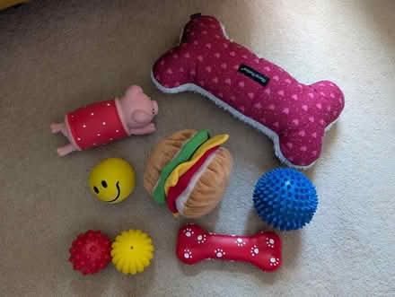 Photo of free Dog toys (Wokingham RG41) #1