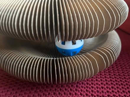 Photo of free cat toy, new (Twyford RG10) #3