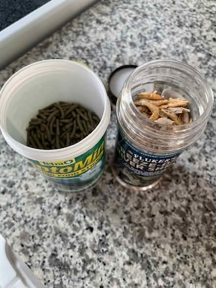 Photo of free Turtle Food (Adams Morgan) #2