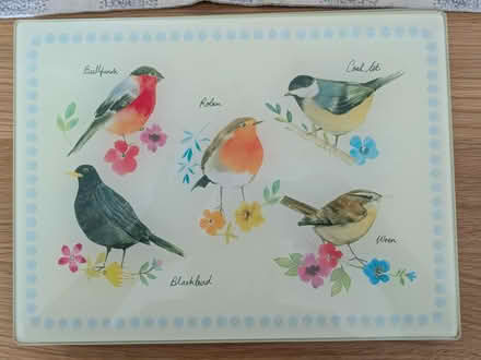 Photo of free Place mats (Bonnyrigg EH19) #1