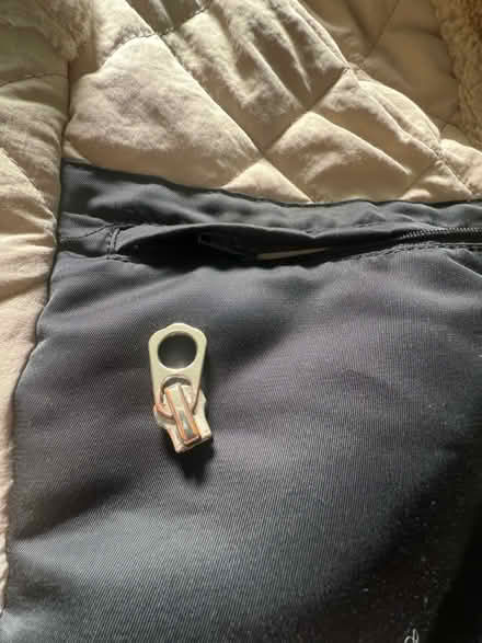 Photo of free Black Zara Trafaluc Jacket S (Croydon) #3