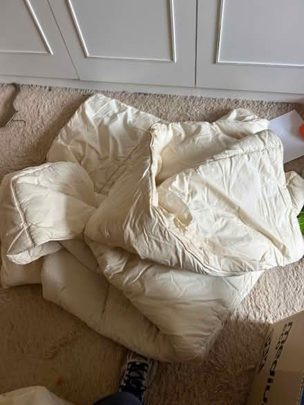 Photo of free Two duvets (Bramhall SK7) #3