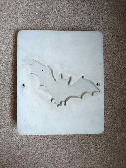 Photo of free Bat box (new) (Lansdown) #1