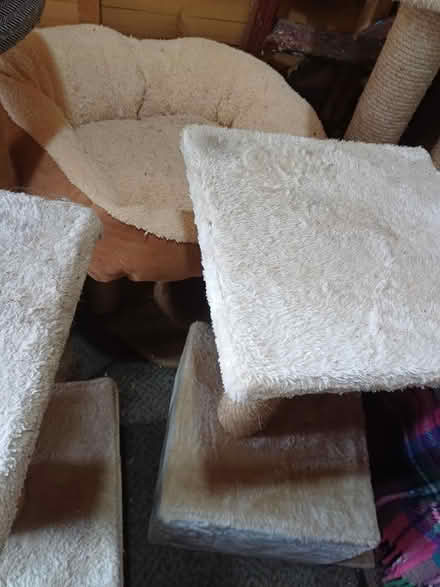 Photo of free Scratchposts (Larkhall) #1