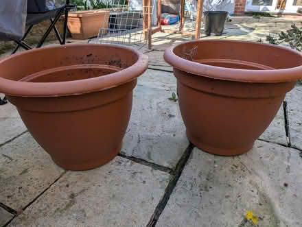 Photo of free X2 44 cm plant pots (Wokingham RG41) #1