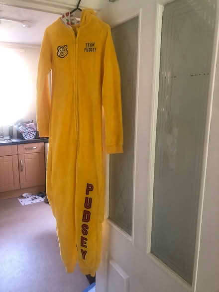 Photo of free Pudsey Onesie 12/13 (Hertford SG14) #1