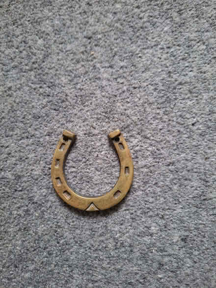 Photo of free horse shoe (Penwortham Lane PR1) #1