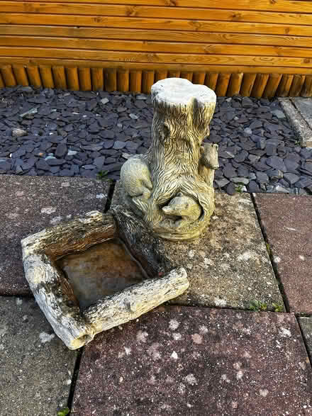 Photo of free bird bath (Christchurch BH23) #4