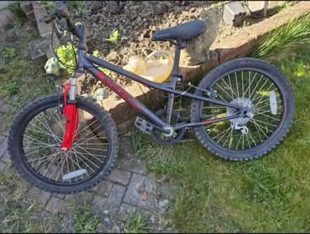 Photo of free Kids bike think 16inches (Horsham RH13) #1