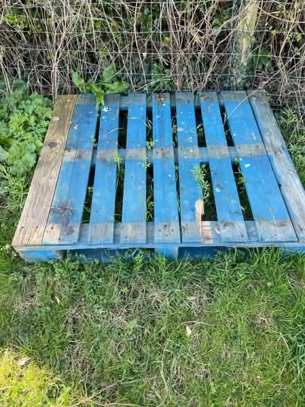 Photo of free Pallets (Tadmarton) #1