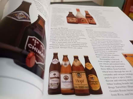 Photo of free Book about Beer. (Pin Green SG1) #1