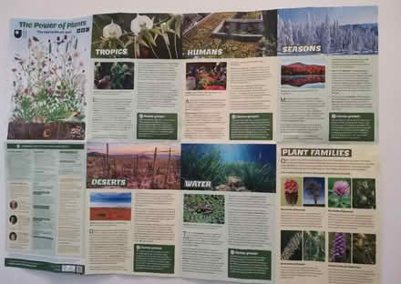 Photo of free BBC A1 Plant Poster (Upper Clapton E5) #2