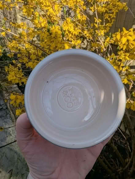 Photo of free Blue ramekins (Wokingham RG41) #2