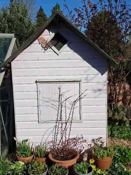 Photo of free Play House (Lowdham NG14) #2