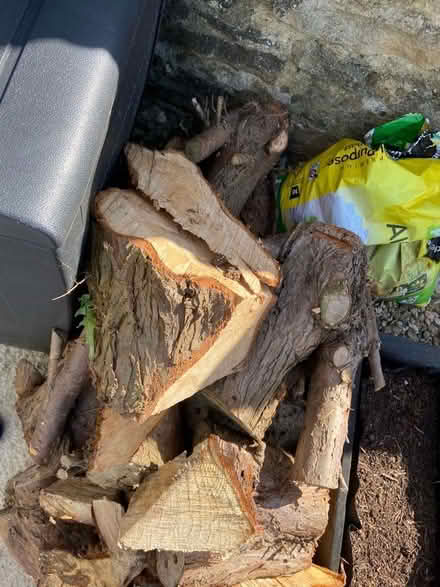 Photo of free Logs (Stanton Harcourt OX29) #1