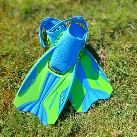 Photo of free Fins (Steyning BN44) #1