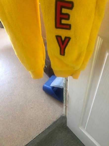 Photo of free Pudsey Onesie 12/13 (Hertford SG14) #2