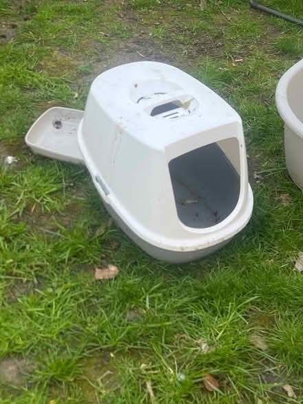 Photo of free Dog bed cat litter trays (West Hampstead NW6) #2