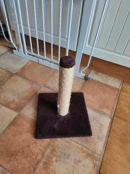 Photo of free Cat scratching post (High Ercall TF6) #1