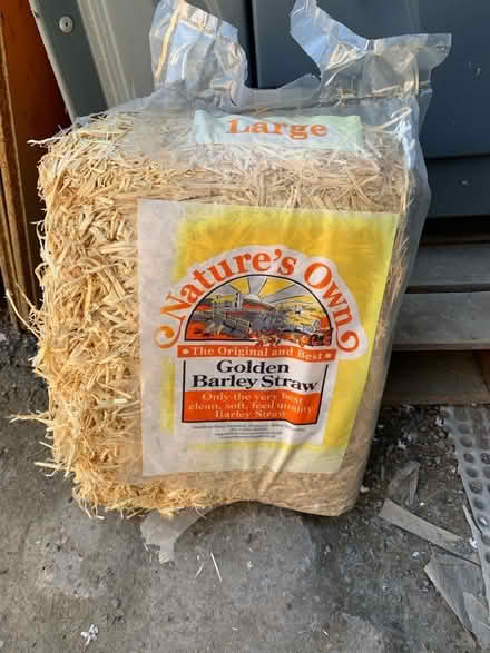 Photo of free Large bag of barley straw (Manor Court E10) #1