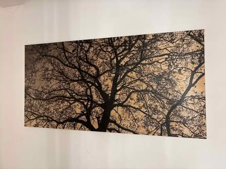 Photo of free Large photo art (NW11 Golders Green) #1
